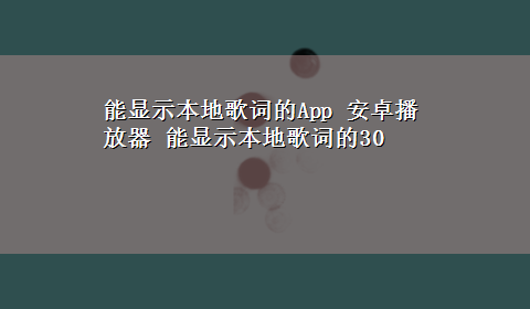 能显示本地歌词的App 安卓播放器 能显示本地歌词的30