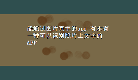 能通过图片查字的app 有木有一种可以识别照片上文字的APP