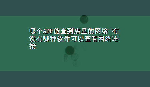 哪个APP能查到店里的网络 有没有哪种软件可以查看网络连接