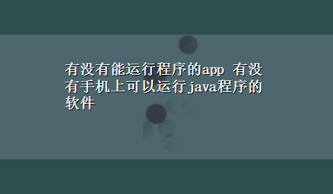 有没有能运行程序的app 有没有手机上可以运行java程序的软件