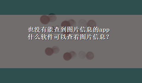 也没有能查到图片信息的app 什么软件可以查看图片信息？