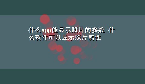 什么app能显示照片的参数 什么软件可以显示照片属性