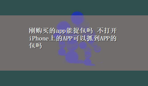 刚购买的app能捉包吗 不打开iPhone上的APP可以抓到APP的包吗