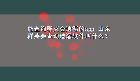 能查询群英会遗漏的app 山东群英会查询遗漏软件叫什么？