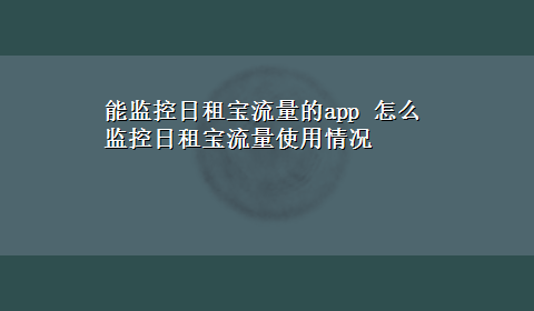 能监控日租宝流量的app 怎么监控日租宝流量使用情况