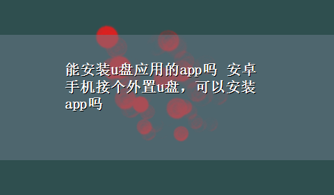 能安装u盘应用的app吗 安卓手机接个外置u盘，可以安装app吗