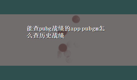 能查pubg战绩的app pubgm怎么查历史战绩