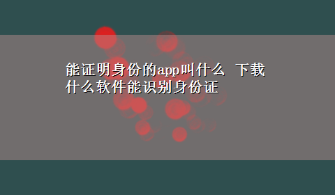 能证明身份的app叫什么 x-z什么软件能识别身份证