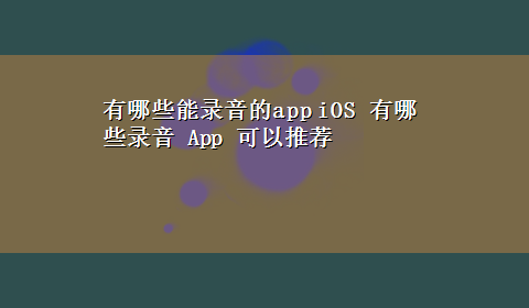 有哪些能录音的app iOS 有哪些录音 App 可以推荐