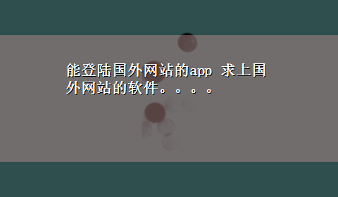 能登陆国外网站的app 求上国外网站的软件。。。。