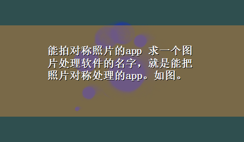 能拍对称照片的app 求一个图片处理软件的名字，就是能把照片对称处理的app。如图。