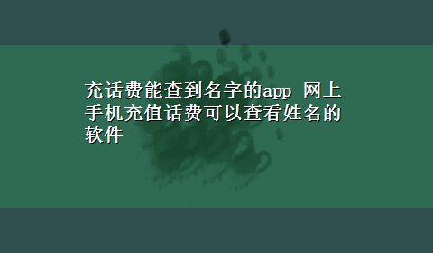 充话费能查到名字的app 网上手机充值话费可以查看姓名的软件