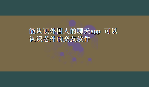 能认识外国人的聊天app 可以认识老外的交友软件