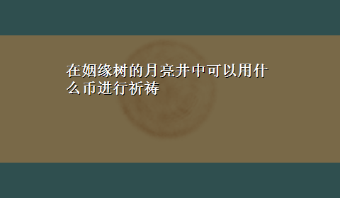 在姻缘树的月亮井中可以用什么币进行祈祷