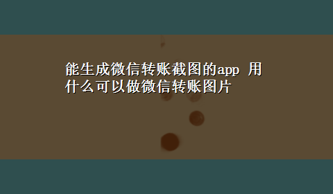 能生成微信转账截图的app 用什么可以做微信转账图片