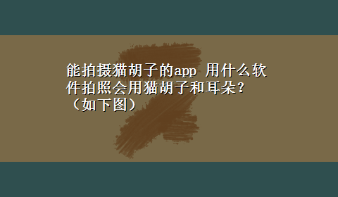 能拍摄猫胡子的app 用什么软件拍照会用猫胡子和耳朵？（如下图）