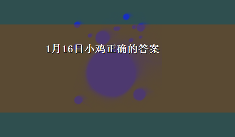 1月16日小鸡正确的答案