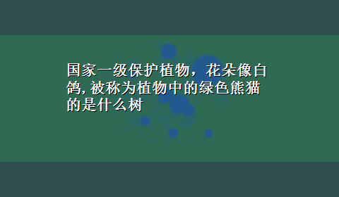 国家一级保护植物，花朵像白鸽,被称为植物中的绿色熊猫的是什么树