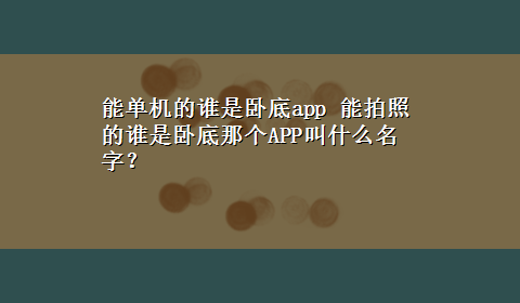 能单机的谁是卧底app 能拍照的谁是卧底那个APP叫什么名字？