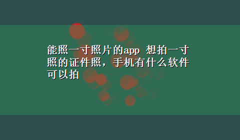 能照一寸照片的app 想拍一寸照的证件照，手机有什么软件可以拍