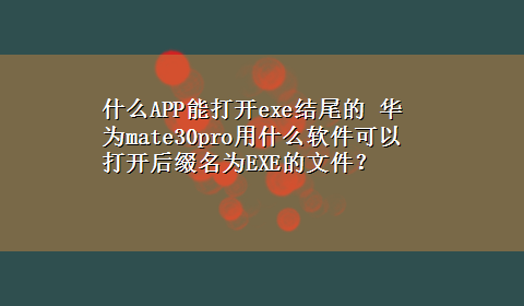 什么APP能打开exe结尾的 华为mate30pro用什么软件可以打开后缀名为EXE的文件？