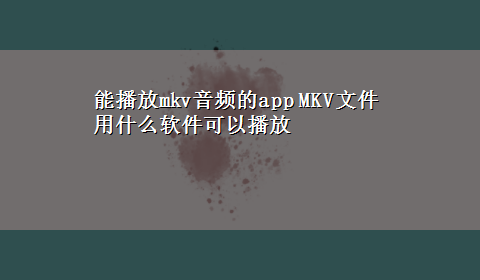 能播放mkv音频的app MKV文件用什么软件可以播放