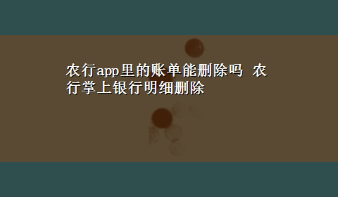 农行app里的账单能删除吗 农行掌上银行明细删除