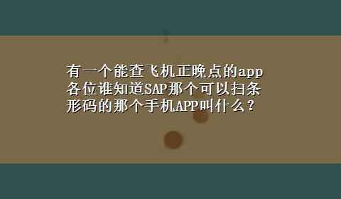 有一个能查飞机正晚点的app 各位谁知道SAP那个可以扫条形码的那个手机APP叫什么？