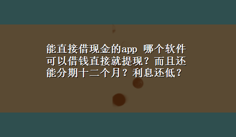 能直接借现金的app 哪个软件可以借钱直接就提现？而且还能分期十二个月？利息还低？