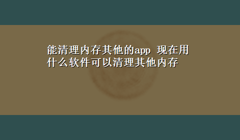 能清理内存其他的app 现在用什么软件可以清理其他内存