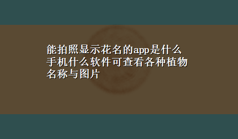 能拍照显示花名的app是什么 手机什么软件可查看各种植物名称与图片