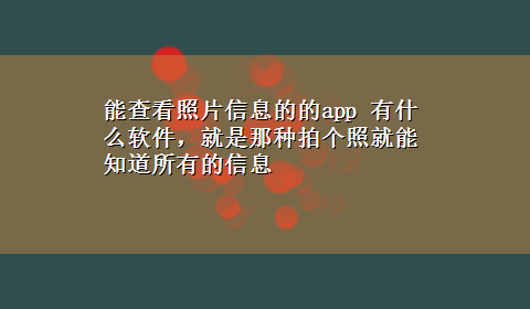 能查看照片信息的的app 有什么软件，就是那种拍个照就能知道所有的信息