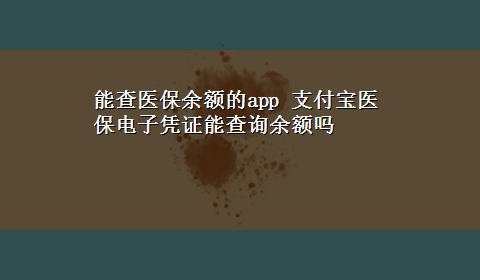 能查医保余额的app 支付宝医保电子凭证能查询余额吗