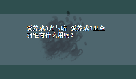 爱养成3光与暗 爱养成3里金羽毛有什么用啊？