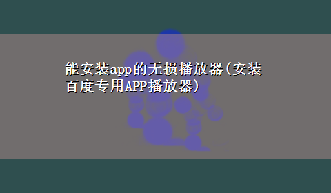 能安装app的无损播放器(安装百度专用APP播放器)