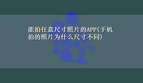 能拍任意尺寸照片的APP(手机拍的照片为什么尺寸不同)