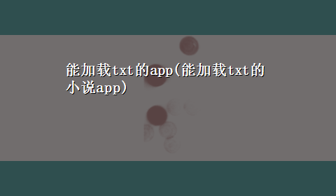 能加载txt的app(能加载txt的小说app)