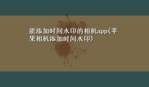 能添加时间水印的相机app(苹果相机添加时间水印)