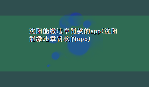 沈阳能缴违章罚款的app(沈阳能缴违章罚款的app)