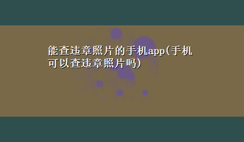 能查违章照片的手机app(手机可以查违章照片吗)