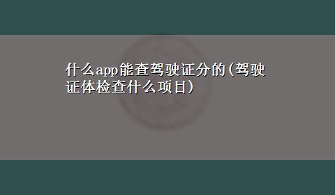 什么app能查驾驶证分的(驾驶证体检查什么项目)