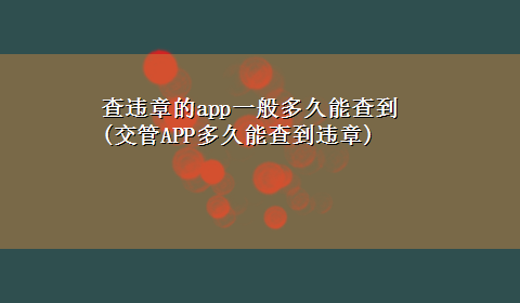 查违章的app一般多久能查到(交管APP多久能查到违章)