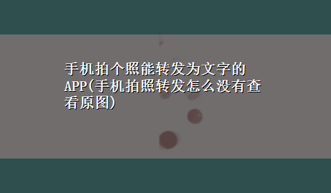 手机拍个照能转发为文字的APP(手机拍照转发怎么没有查看原图)