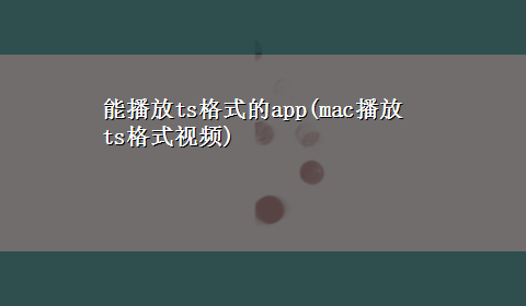 能播放ts格式的app(mac播放ts格式视频)