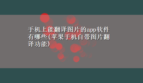 手机上能翻译图片的app软件有哪些(苹果手机自带图片翻译功能)