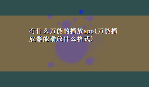 有什么万能的播放app(万能播放器能播放什么格式)