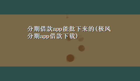 分期借款app能批下来的(极风分期app借款x-z)