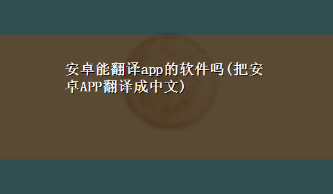 安卓能翻译app的软件吗(把安卓APP翻译成中文)