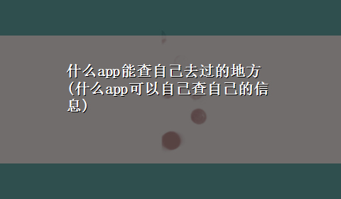 什么app能查自己去过的地方(什么app可以自己查自己的信息)