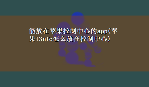 能放在苹果控制中心的app(苹果13nfc怎么放在控制中心)